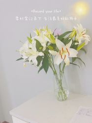 -Lily纤美·科技减脂中心
