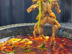 -蛙老爹·蜀香美蛙鱼头(王家湾店)