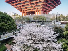 -中华艺术宫(上海美术馆)