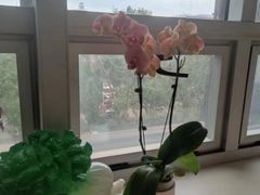 -琴芳艺所艺术培训.古筝钢琴