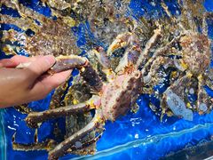 -盒马鲜生(顺义店)