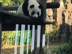 -大连森林动物园