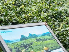 -宝晶宫旅游景区