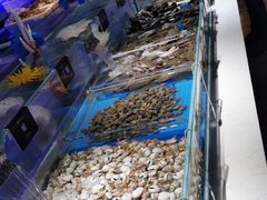 -加餐海鲜自助餐厅(福清万达店)