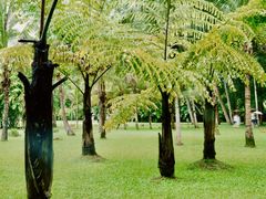 -中国科学院西双版纳热带植物园
