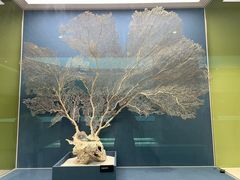 -中国湿地博物馆