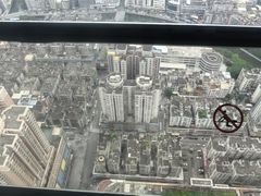 -虎门美思威尔顿酒店(海之光自助餐)