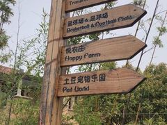 -上海崇明金茂凯悦酒店