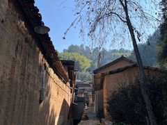 -杨家堂村