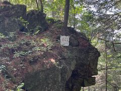 -五营红松林海景区