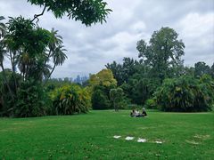 -墨尔本皇家植物园