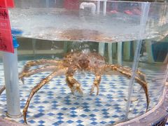 -黄泥岗·地道湖北菜(奥特莱斯店)