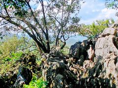 -普者黑风景区-青龙山