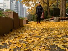 -成都市活水公园