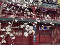 -潭柘寺景区