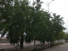 -唐山市丰润区第二中学