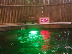 -泉城欧乐堡戏水湾艺术养生温泉