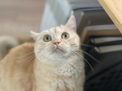 -齐伽生活馆·瑜伽·普拉提·阿育吠陀