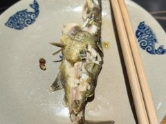 -石锅苗苗鱼(武汉首店)