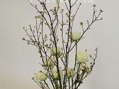 -荷兰布尔玛国际花艺学院