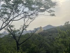 -千佛山风景名胜区