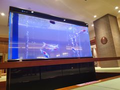 -大江户·温泉洗浴(浑南店)