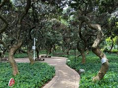 -黄埔荔枝公园