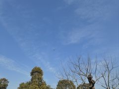 -南通洲际绿博园