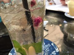-Fern Forest Cafe
