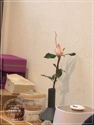 -FineYoga梵音瑜伽·普拉提