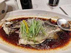 -宝园酒家(美林M·LIVE天地东座店)