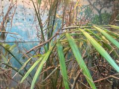 -上海大自然野生昆虫馆