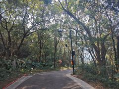 -广州市帽峰山景区