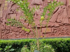 -广州神农草堂中医药博物馆