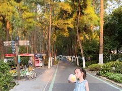 -合肥滨湖国家森林公园