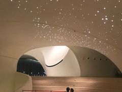 -哈尔滨大剧院