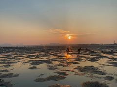 -北海金海湾红树林生态旅游区