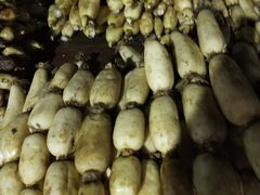 -江杨农产品批发市场