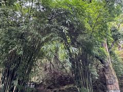 -黔灵山公园