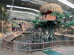 -南宫五洲植物乐园