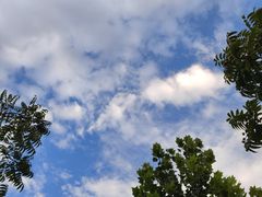 -东怡大酒店(上海科技馆店)