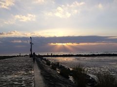 -南汇嘴观海公园