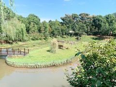 -无锡动物园·太湖欢乐园