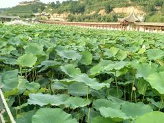 -渭南桃花源民俗文化园