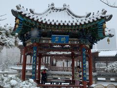 -迎泽公园