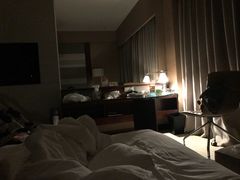 -南桥绿地铂骊酒店