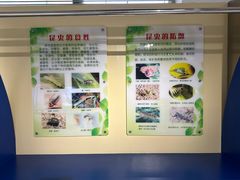 -上海昆虫博物馆