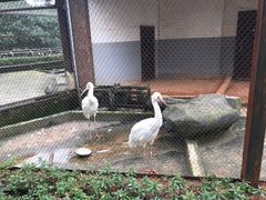 -南昌动物园