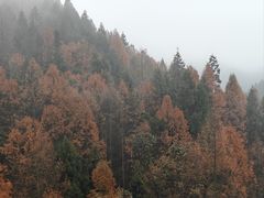 -山王坪喀斯特国家生态公园