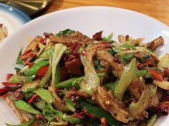 -柴窝堡22号辣子鸡·传承新疆菜